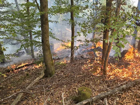20260816_070759.jpg